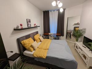 Schönes Apartment im Zentrum von Koblenz