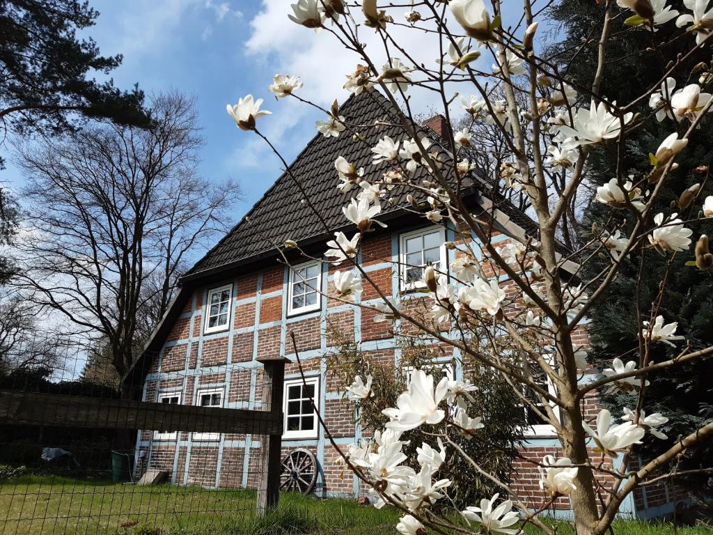 Appartement Schönes Apartment vor den Toren Hamburgs - keine Monteurwohnung 13 Hauptstraße 21271 Asendorf