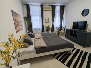 Schönes Appartment im Zentrum von Koblenz II