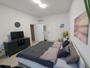 Schönes Appartment im Zentrum von Koblenz II