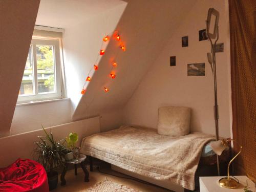 Schönes Privatzimmer in Göttinger Innenstadt