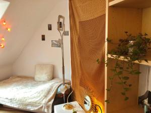 Schönes Privatzimmer in Göttinger Innenstadt