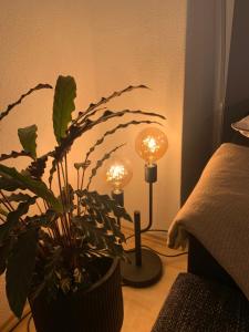 Schönes Zwei-Zimmer-Apartment in der Bremer City