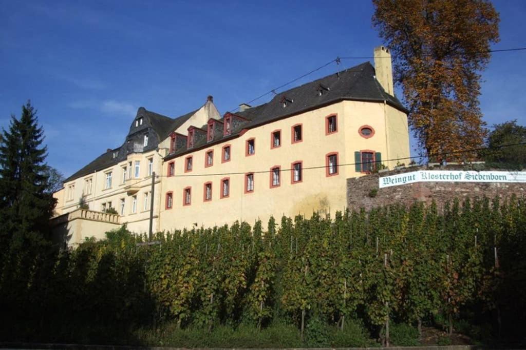 Schwalbennest auf dem Weingut Arthur Melsheimer Im Siebenborn 9, 54484 Maring-Noviand