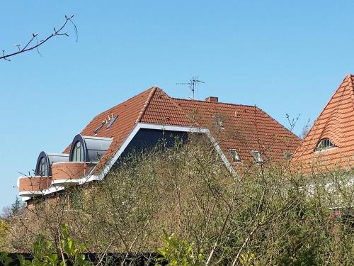 Schwalbennest