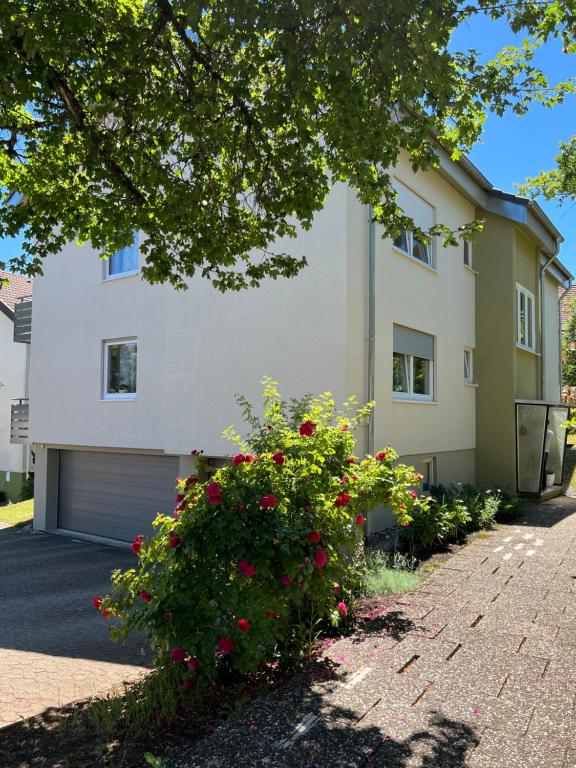 Schwarzwald Appartement Steffanie 38 Herzog-Eberhard-Straße, 72250 Freudenstadt