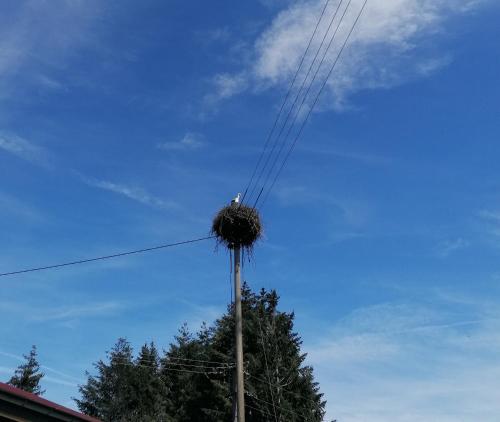 Schwarzwald Appartement