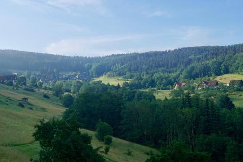 Schwarzwald-Ferienwohnung mit Panorama