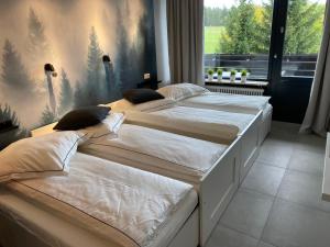 Schwarzwald Wohnung Kniebis