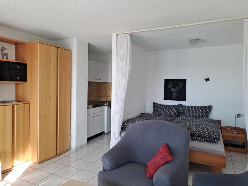 Schwarzwaldblick 1-Zimmer Appartement