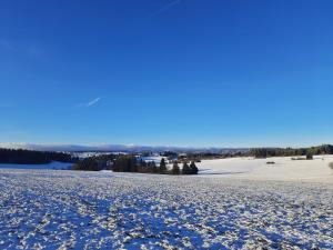 Schwarzwaldblick 1-Zimmer Appartement