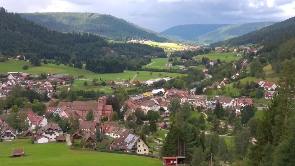 Schwarzwaldblick 17 Rosshaldeweg, 72270 Baiersbronn