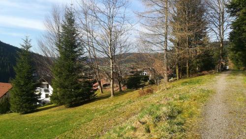 Schwarzwaldblick