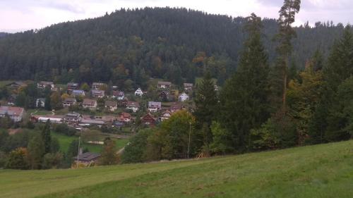 Schwarzwaldblick