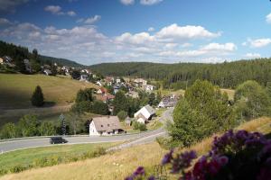 Schwarzwaldblick