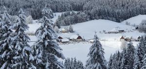 Schwarzwaldblick