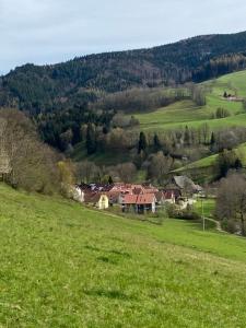 Schwarzwaldglück Apartment
