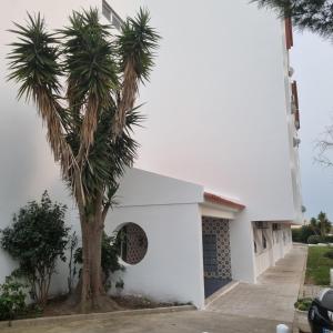 Sea Lovers Guest House Portimão