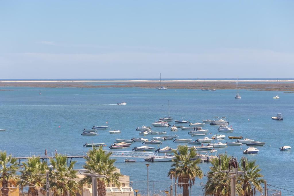 Appartement Sea View Fairy Tale 8 Rua Francisco Barreto 8000-363 Faro