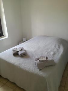 Seasonal rental appartment