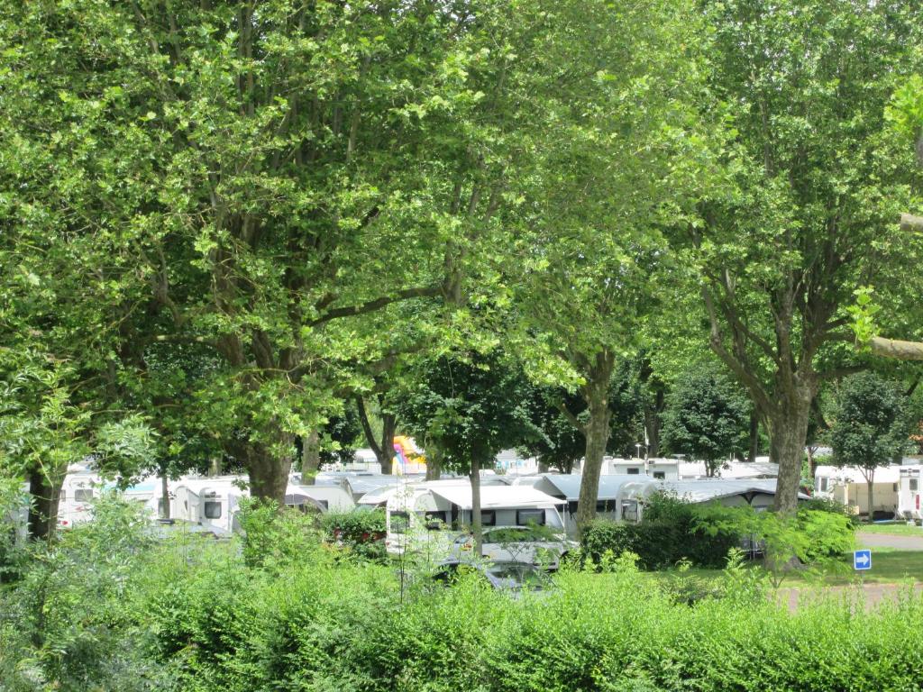 Secteur Gare Bénédictins : T2 cosy Hyper Centre 87000 Limoges