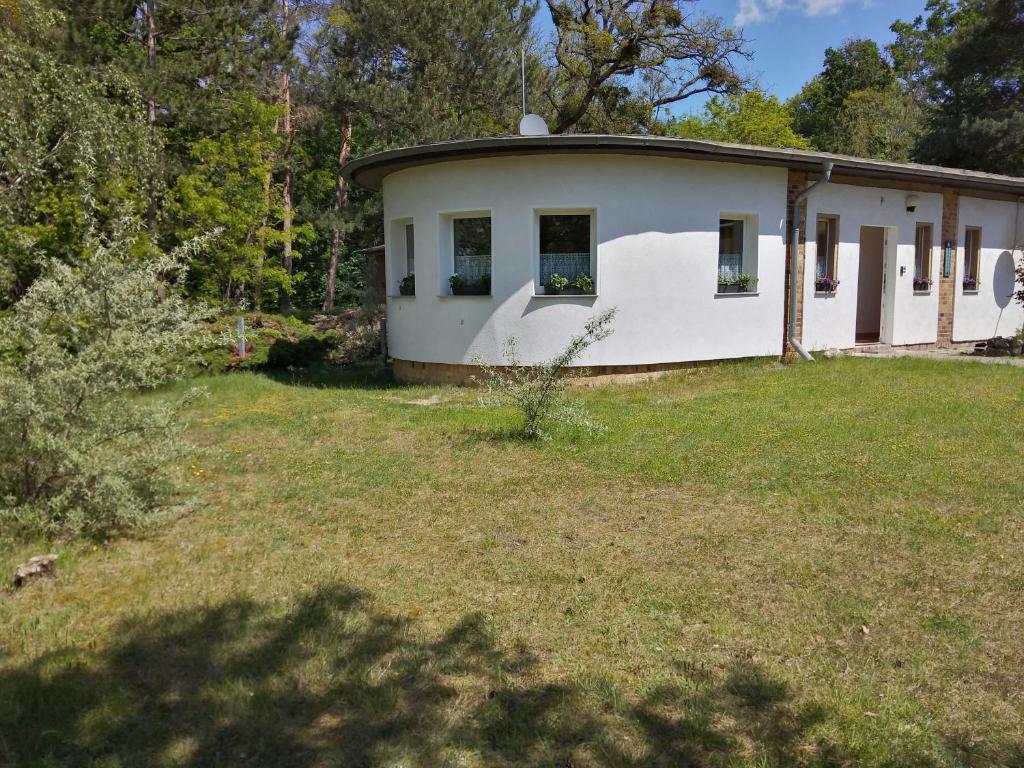 Appartement See Ferienwohnung 4 Möhlauer See Brotweg 1 06772 Großmöhlau