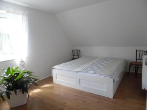 Seeblick Ferienwohnung am Rursee - Nationalpark Eifel