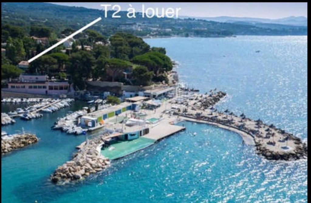 Seedeich - Strandhafer