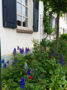 Appartement SEELIG`S Fronenberg 16 55595 Weinsheim Rhénanie-Palatinat