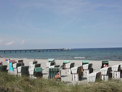 Seemöwe 306 an der Ostsee - ABC306