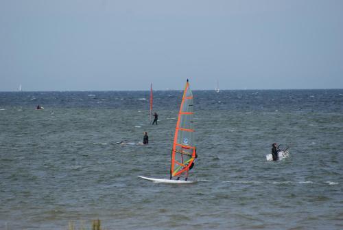 Seemöwe 306 an der Ostsee - ABC306