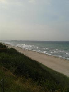 Seestern