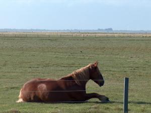 Seevilla Wietjes Whg 3