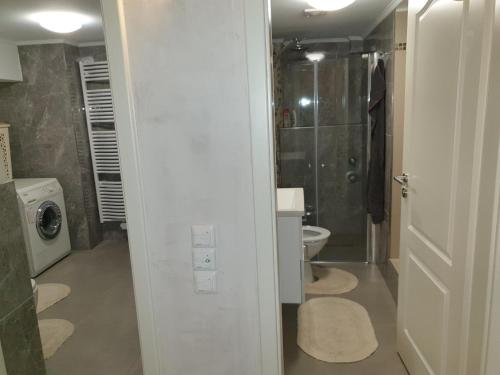 Sehr grosse 5 Zimmer Wohnung mit Garten und terasse
