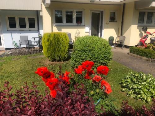 Sehr schöne ufernahe ebenerdige Ferienwohnung Pura Vida auf der Halbinsel Scheid