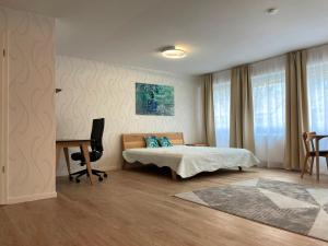 Sehr zentral, geräumiges, helles Studio-Apartment