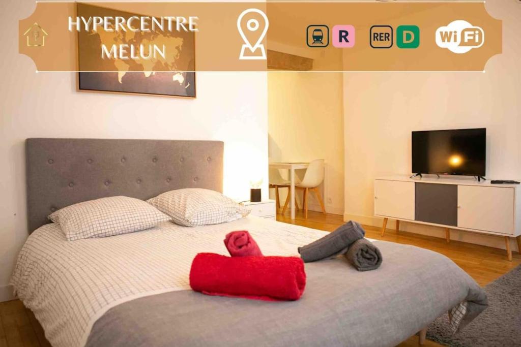 Appartement Séjour à Melun Appart'Hôtel de l'Hypercentre 2ème étage 5 Rue des Potiers 77000 Melun