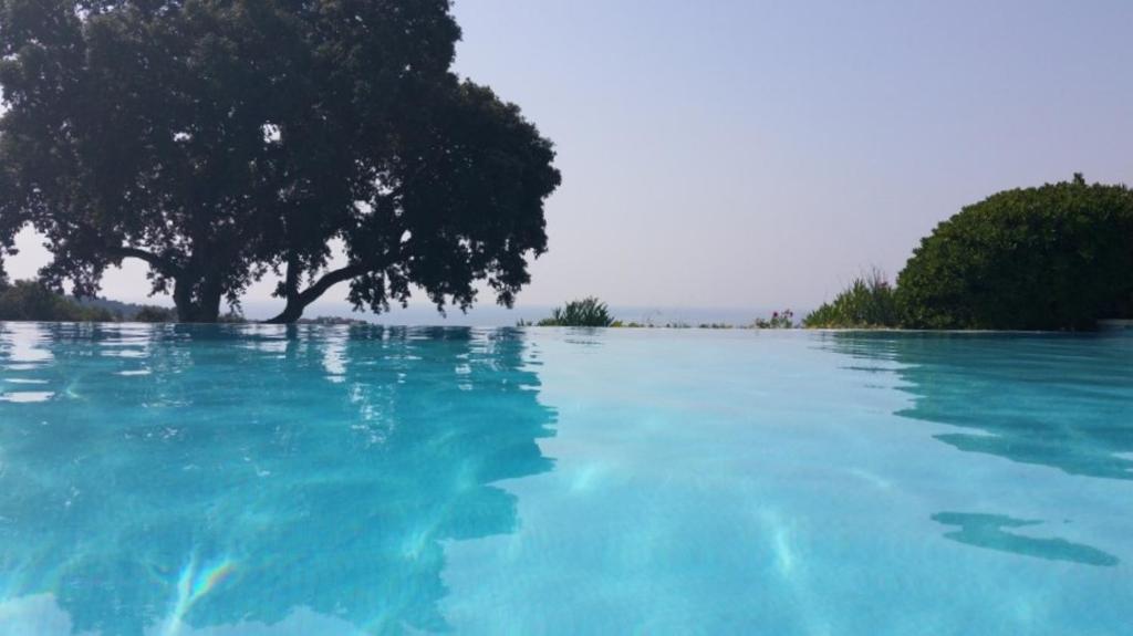 SERRENDY TERRASSE VUE MER PISCINE Dans résidence de standing 06400 Cannes