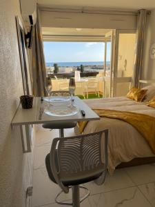 SHOWTIME NATURISTE PORT NATURE 6 parking privé clim ascenseur vue mer