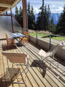 Silènes D12 à Chamrousse 1700 - Appartement plein sud classé 2 étoiles - Au pied des pistes de ski