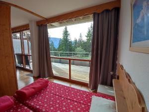 Silènes D12 à Chamrousse 1700 - Appartement plein sud classé 2 étoiles - Au pied des pistes de ski