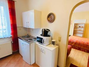 Single-Apartment bis 2 Personen, 27qm in Schleusingen, WLAN, Parkplatz