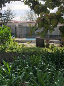 Sintra Nomad Lodge