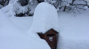 Ski in and Out 2-Bed Apartment in Meribel