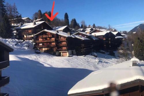 Ski-in/ski-out & pool: great for summer and winter