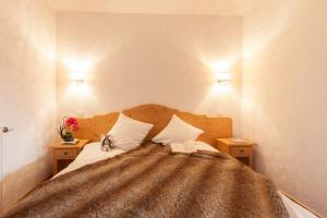 Skissim Premium - Les Chalets de l'Adonis 4 stars