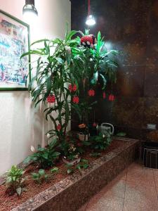 Small, beautifull apartment