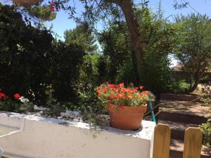 Appartement Small Loft AVENIDA DE SINTRA, 891 2750-496 Cascais -1