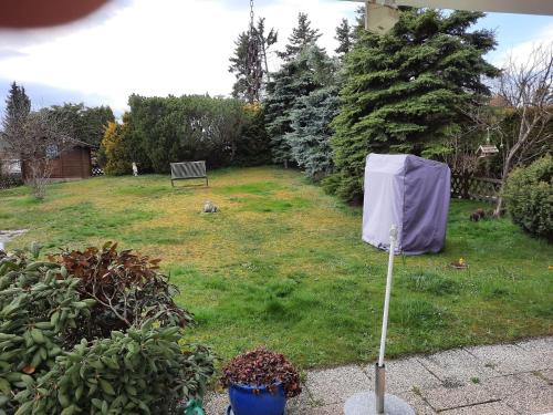 Snug Apartment in Medebach with Covered Terrace and Garden
