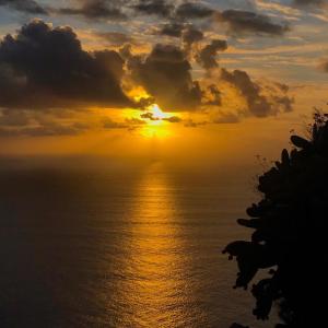 Sol & Mar Camara de Lobos
